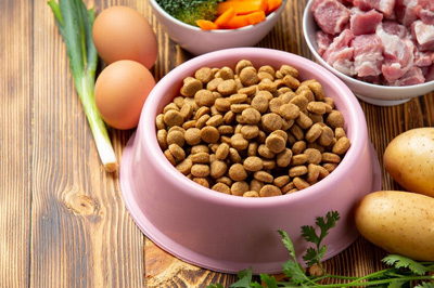 Wissenswertes über Hypoallergenes Katzenfutter